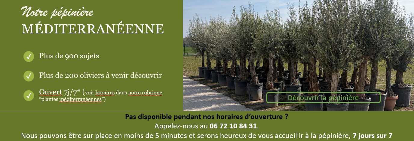 présentation 2 jpg